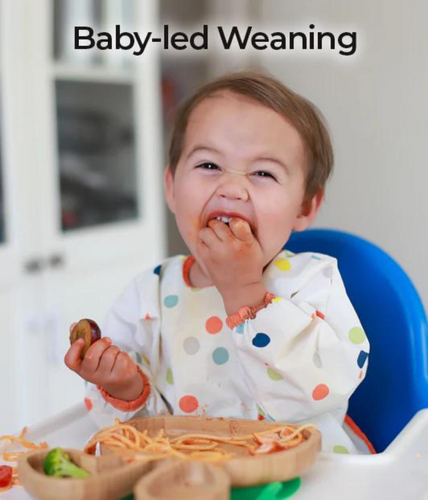 Baby-Led Weaning