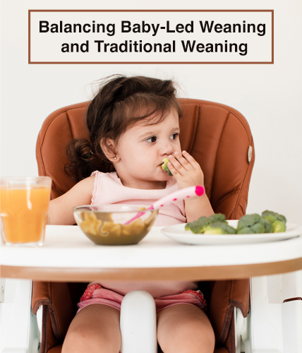 Balancing Baby-Led Weaning and Traditional Weaning