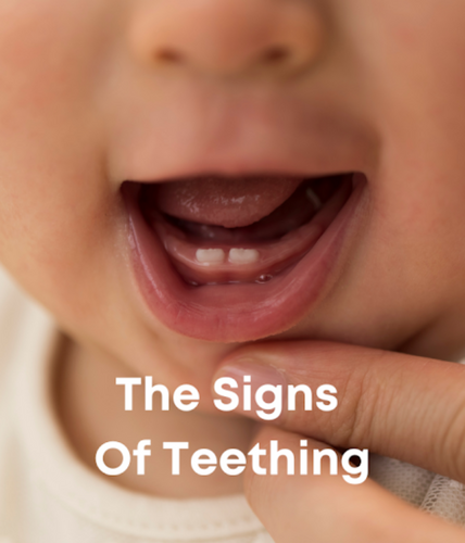 Baby Teething Signs and Symptoms