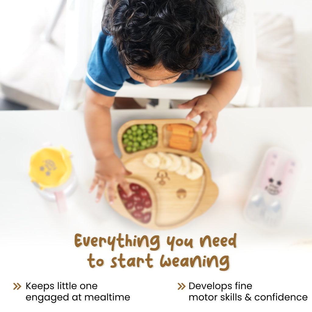 Eco Friendly Bamboo Weaning Plates and Cutlery 