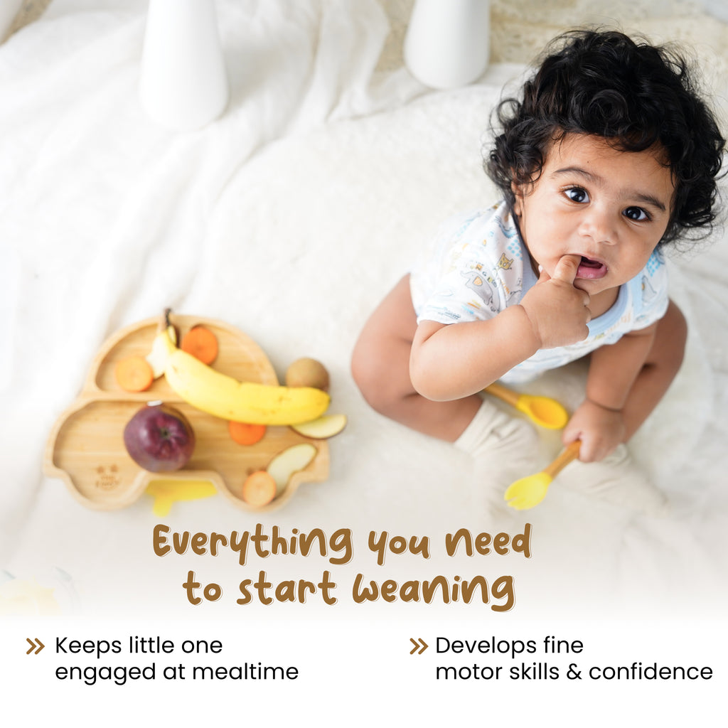 Suction Plates for Babies