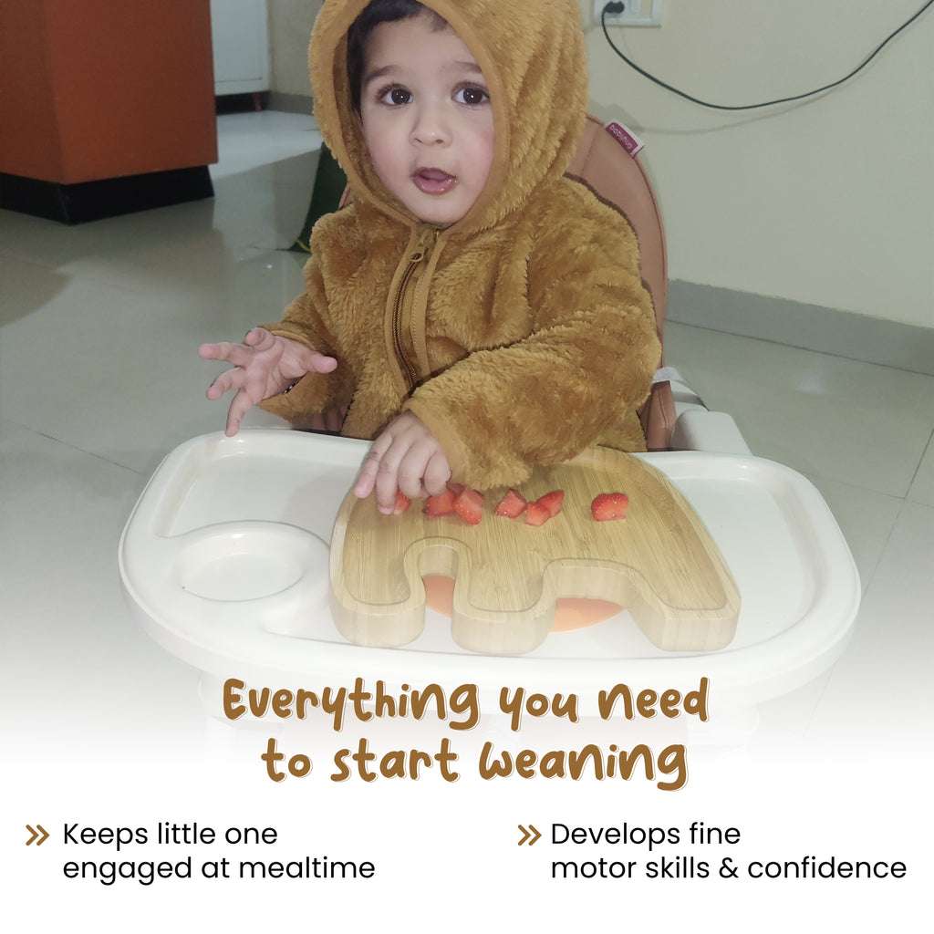 Suction Weaning Set