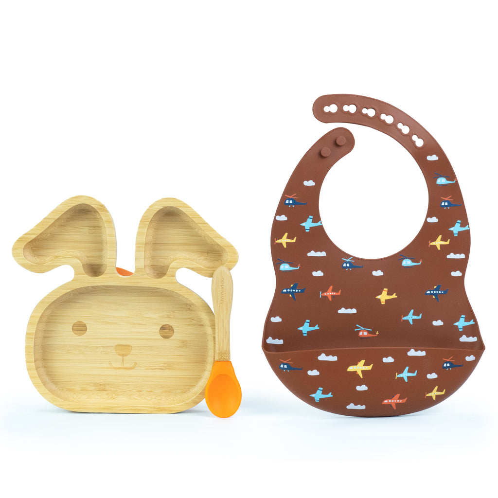 Best Infant Bibs and Bunny Baby Bamboo Plates Set